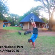 2015 South Africa Kruger Nat'l Parc, S Africa